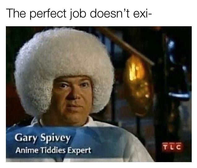 tiddies meme - The perfect job doesn't exi Gary Spivey Anime Tiddies Expert