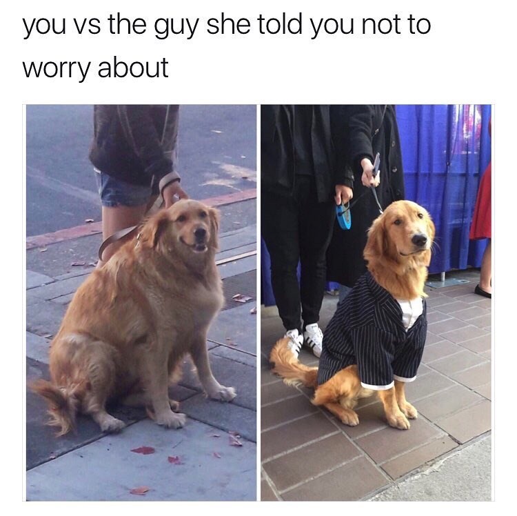 doggo meme - you vs the guy she told you not to worry about