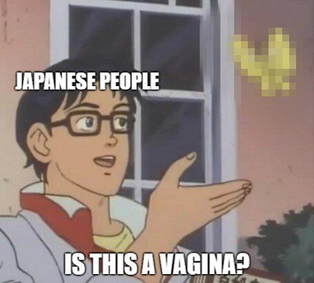 japanese meme - Japanese People Is This A Vagina?