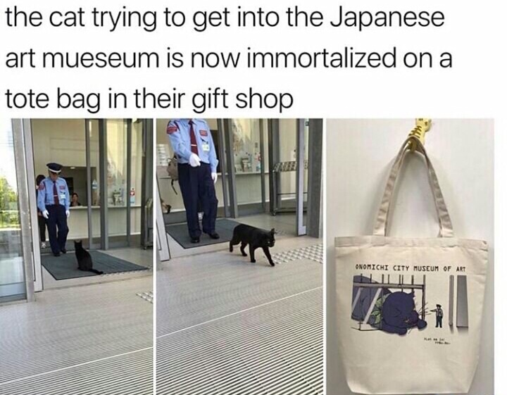 japanese art meme - the cat trying to get into the Japanese art mueseum is now immortalized on a tote bag in their gift shop Onomichi City Museum Of Art