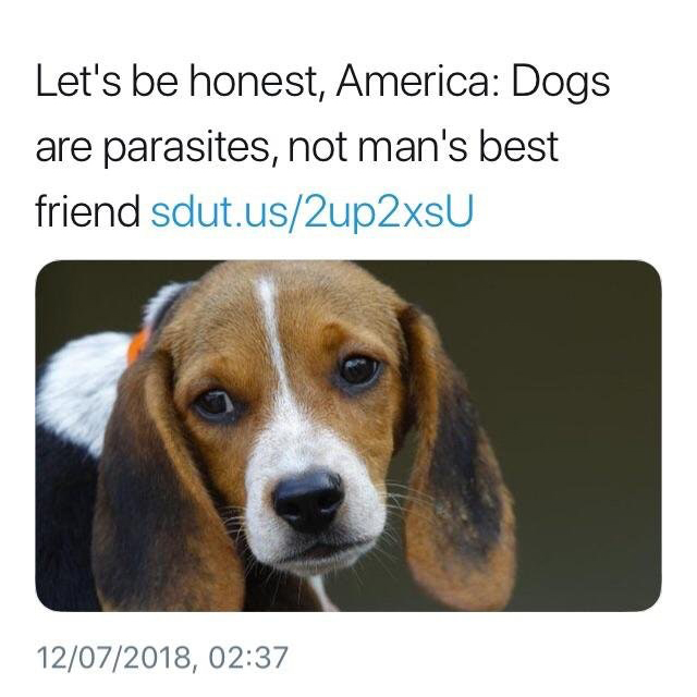 Let's be honest, America Dogs are parasites, not man's best friend sdut.us2up2xsU 12072018,