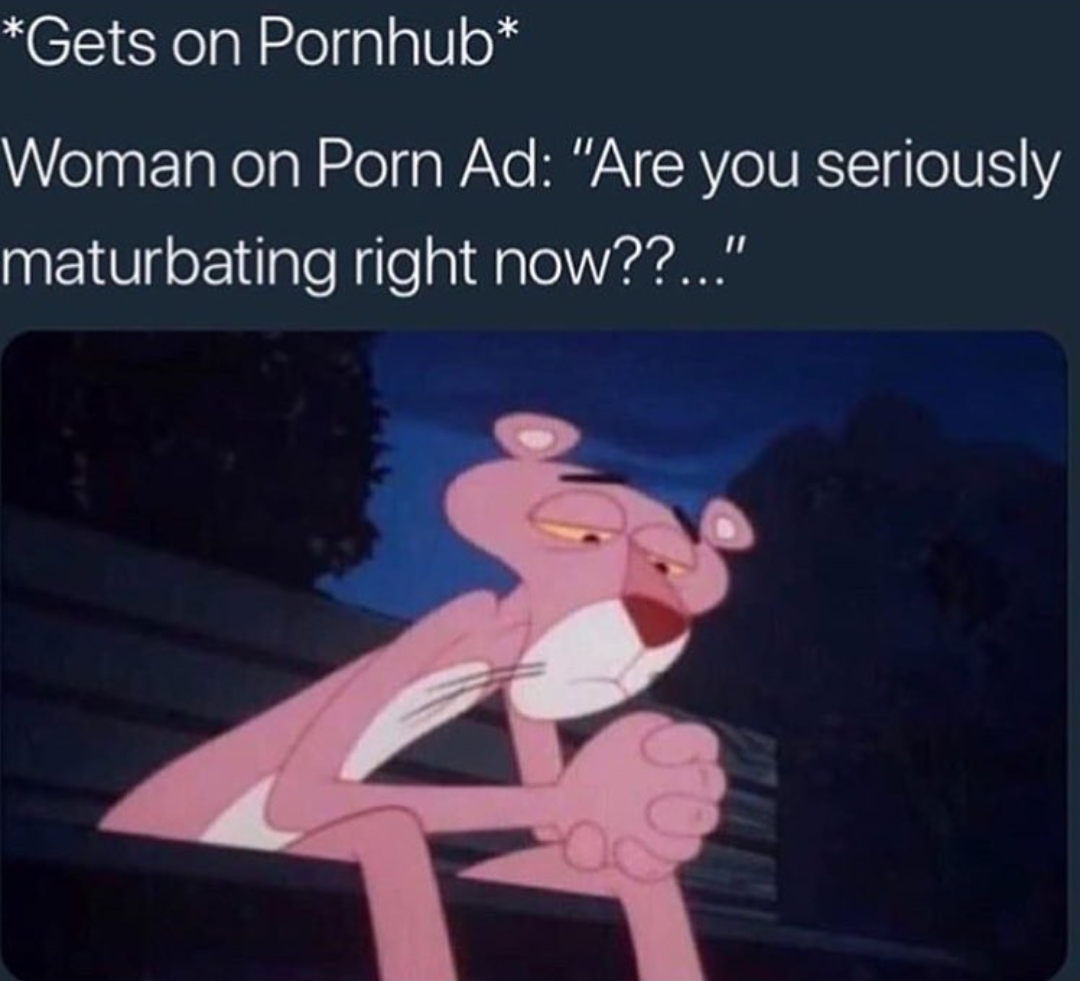 porn ads meme - Gets on Pornhub Woman on Porn Ad "Are you seriously maturbating right now??..."