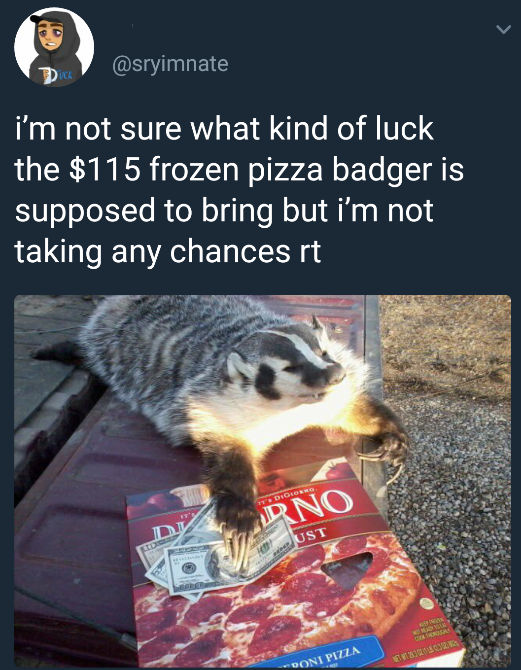 $115 frozen pizza badger - i'm not sure what kind of luck the $115 frozen pizza badger is supposed to bring but i'm not taking any chances rt Rno Ust Soni Pizza