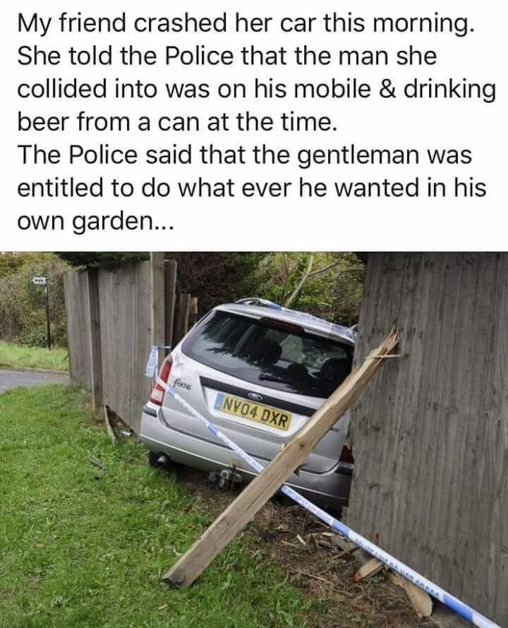 grass - My friend crashed her car this morning. She told the Police that the man she collided into was on his mobile & drinking beer from a can at the time. The Police said that the gentleman was entitled to do what ever he wanted in his own garden... NVO