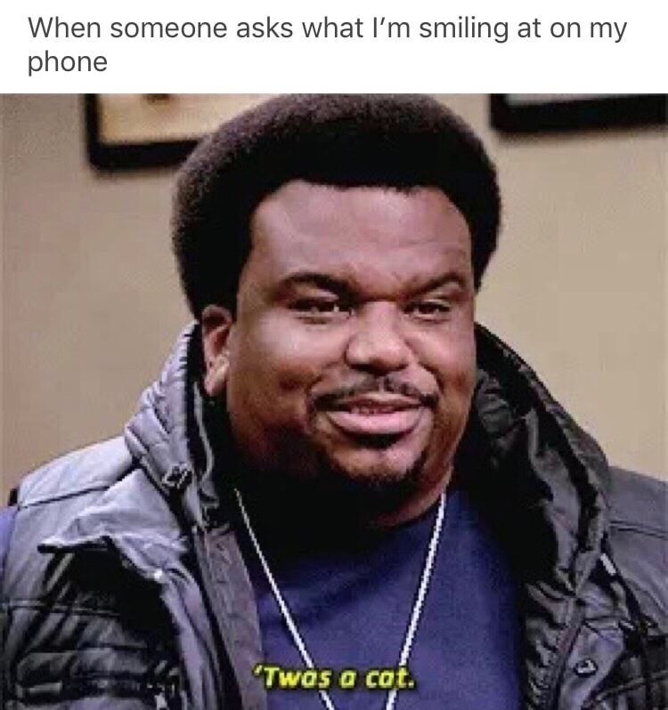 b99 memes - When someone asks what I'm smiling at on my phone Twas a cat.