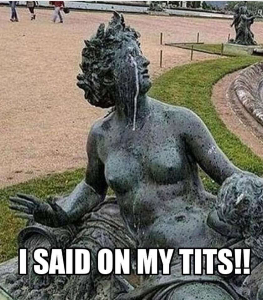 didn t hear you meme - I Said On My Tits!!