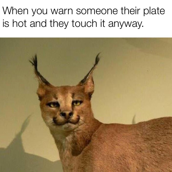42 Steaming Hot Pics and Memes to Chow Down On