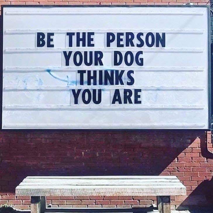 street sign - Be The Person Your Dog Thinks You Are