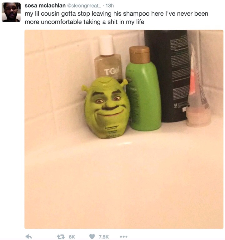 shrek shampoo bottle - sosa mclachlan . 13h my lil cousin gotta stop leaving his shampoo here I've never been more uncomfortable taking a shit in my life t 6K ..