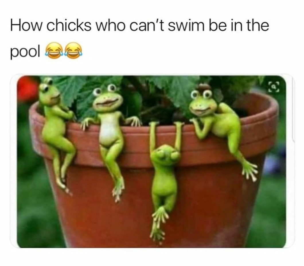 girls who can t swim meme - How chicks who can't swim be in the pooles
