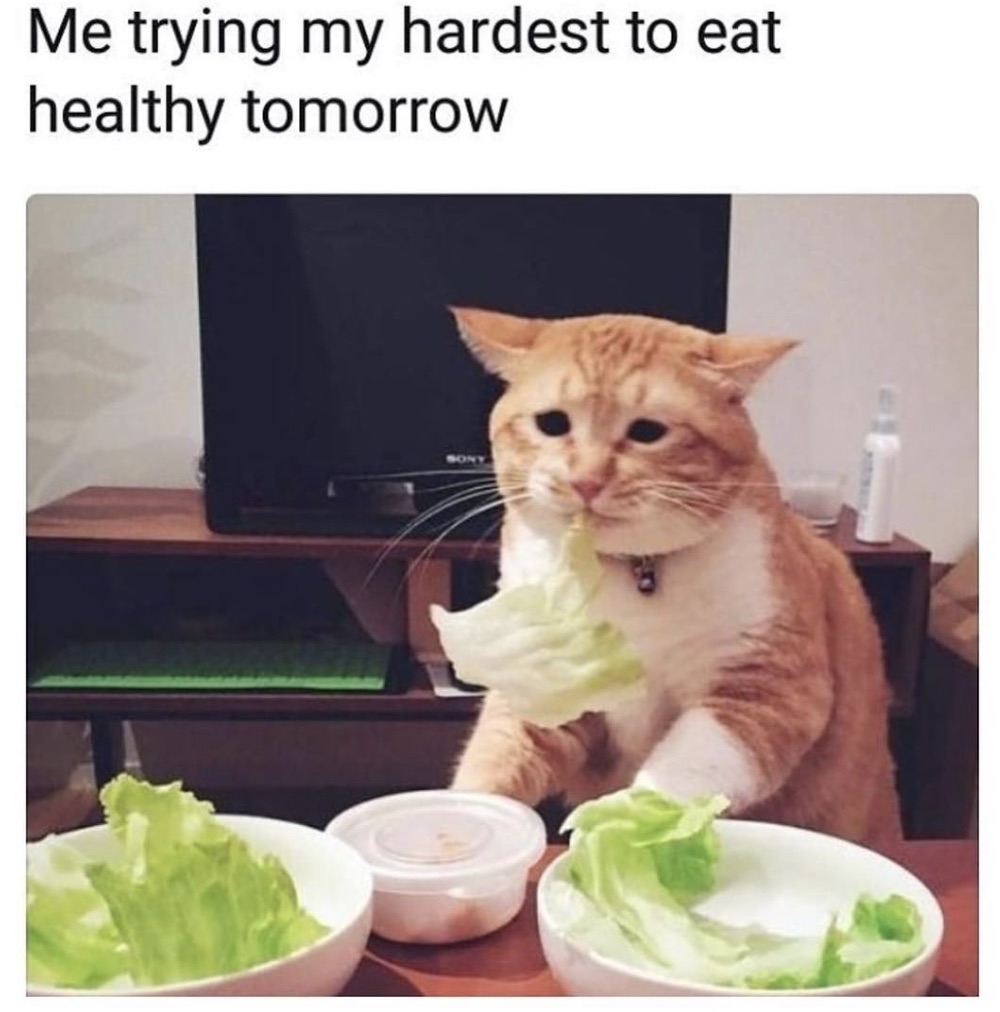 funny diet - Me trying my hardest to eat healthy tomorrow
