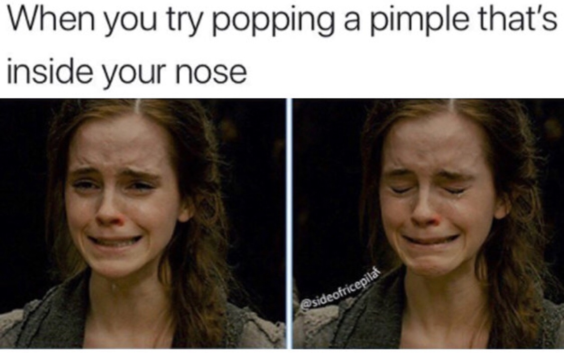 memes to make you laugh - When you try popping a pimple that's inside your nose sideofricepilo