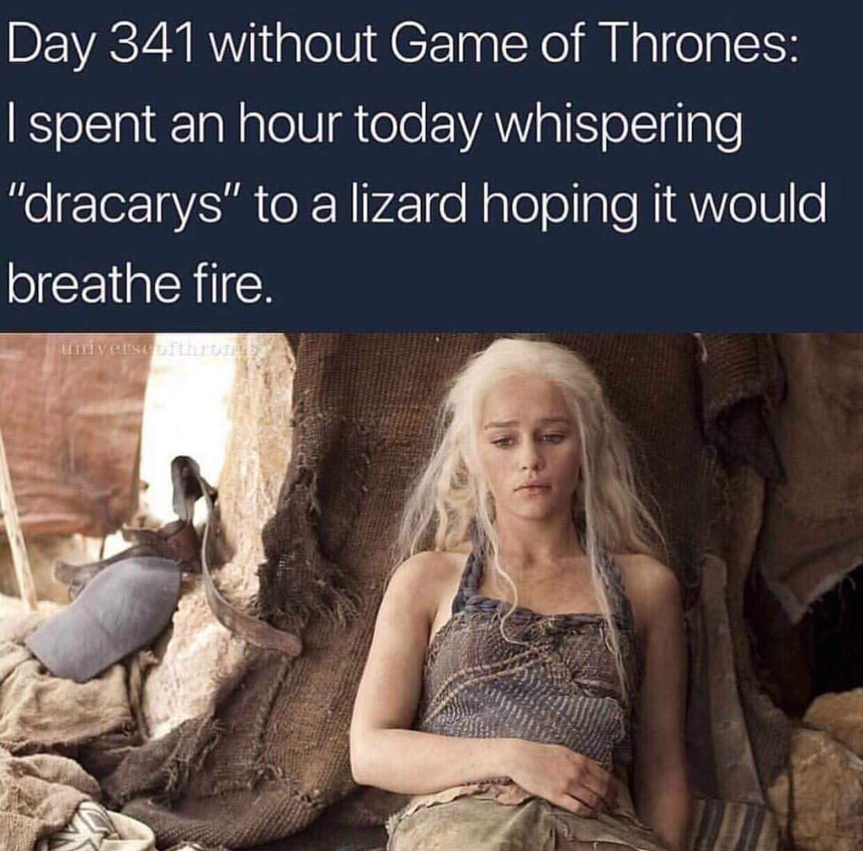 emilia clarke as daenerys targaryen - Day 341 without Game of Thrones I spent an hour today whispering "dracarys" to a lizard hoping it would breathe fire. Un Vise