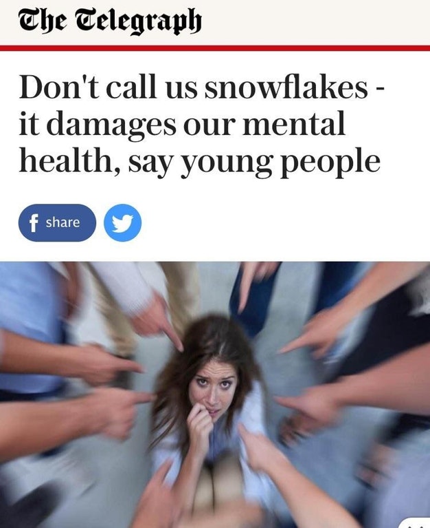 liberal cringe - The Telegraph Don't call us snowflakes it damages our mental health, say young people f