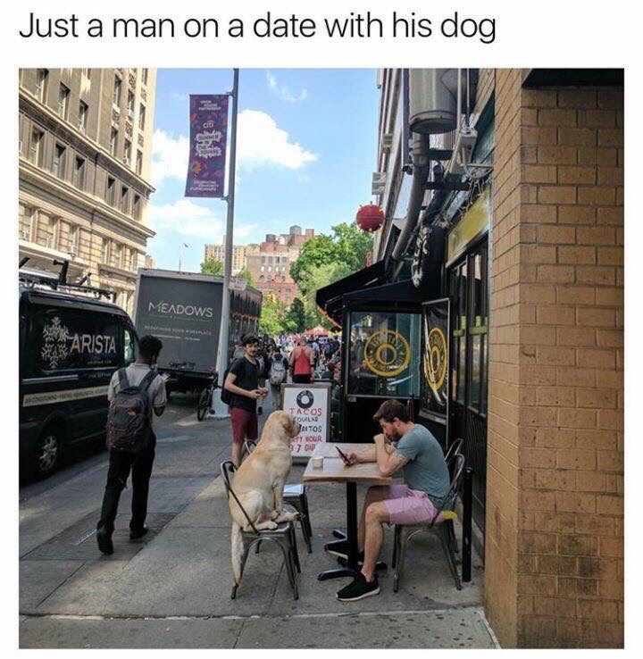 Dog - Just a man on a date with his dog Meadows Barista Tacos Aitos Your Top