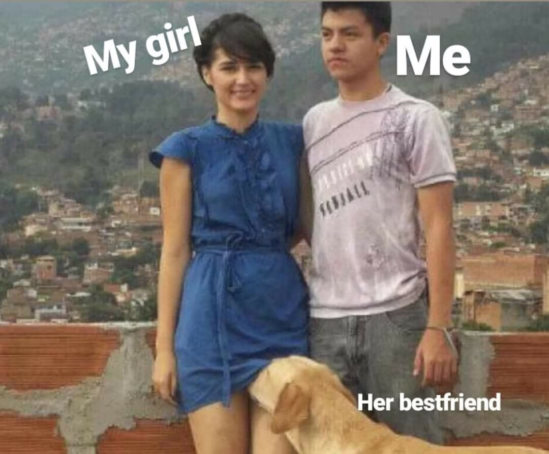 memes - dog sniffing crotch gif - My girl Me Her bestfriend