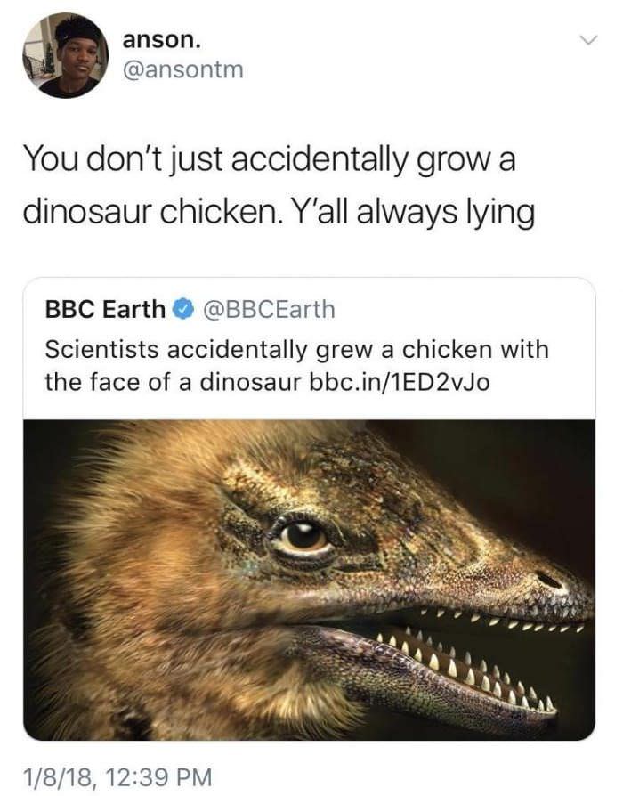 memes - dinosaur memes - anson. You don't just accidentally grow a dinosaur chicken. Y'all always lying Bbc Earth Scientists accidentally grew a chicken with the face of a dinosaur bbc.in1ED2vJo 1818,