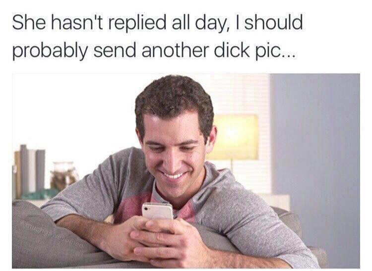 memes - sends dick pic meme - She hasn't replied all day, I should probably send another dick pic... Shoalveonie