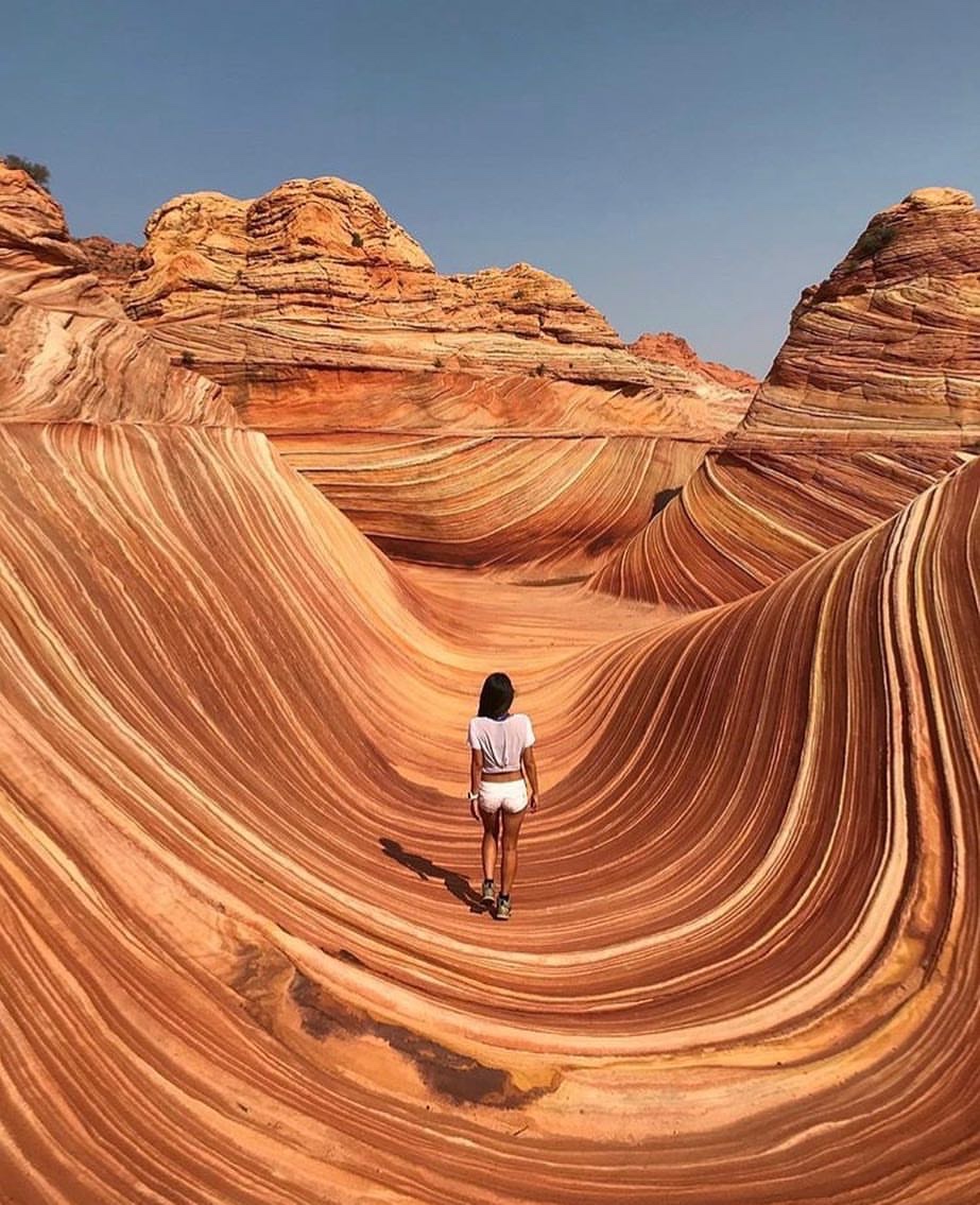 memes - coyote buttes, the wave
