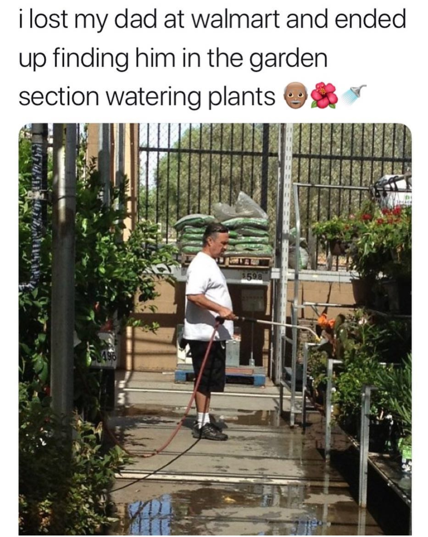 memes - watering plants meme - i lost my dad at walmart and ended up finding him in the garden section watering plants &