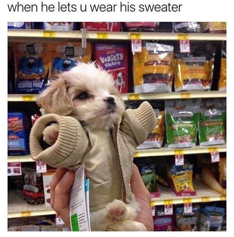 memes - wear a sweater meme - when he lets u wear his sweater Variety