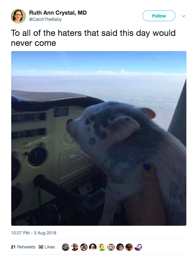 memes - pig in a plane - Ruth Ann Crystal, Md Catch The Baby To all of the haters that said this day would never come 21 32 AS0000