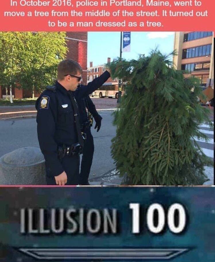 memes - skyrim illusion 100 meme - In , police in Portland, Maine, went to move a tree from the middle of the street. It turned out to be a man dressed as a tree. Illusion 100