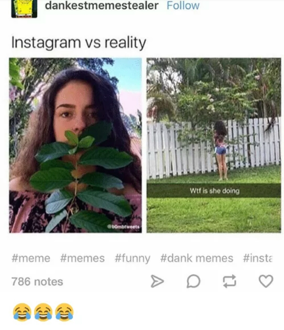 memes - instagram vs reality meme - dankestmemestealer Instagram vs reality Wtf is she doing memes 786 notes