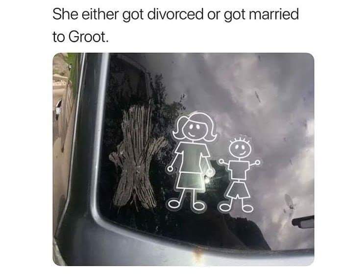 memes - She either got divorced or got married to Groot