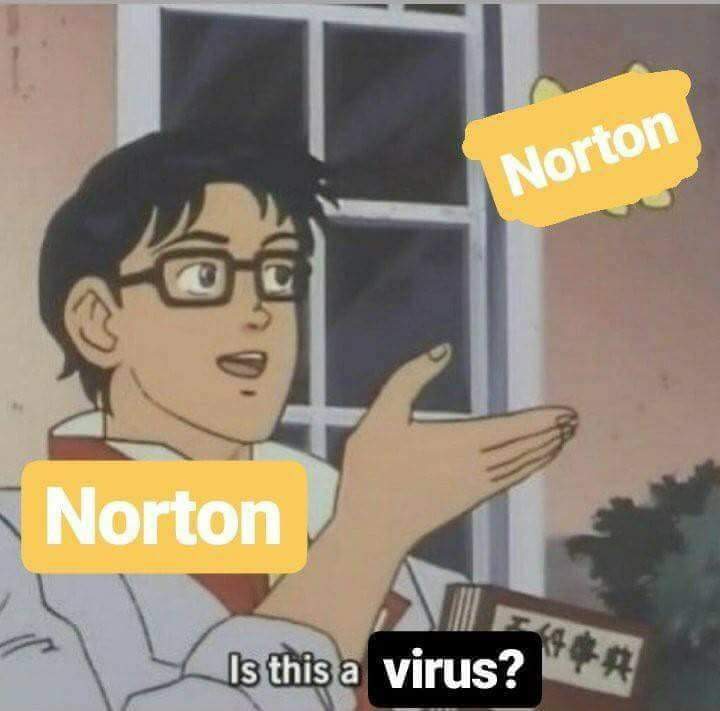 memes - norton meme - Norton Norton Is this a virus?