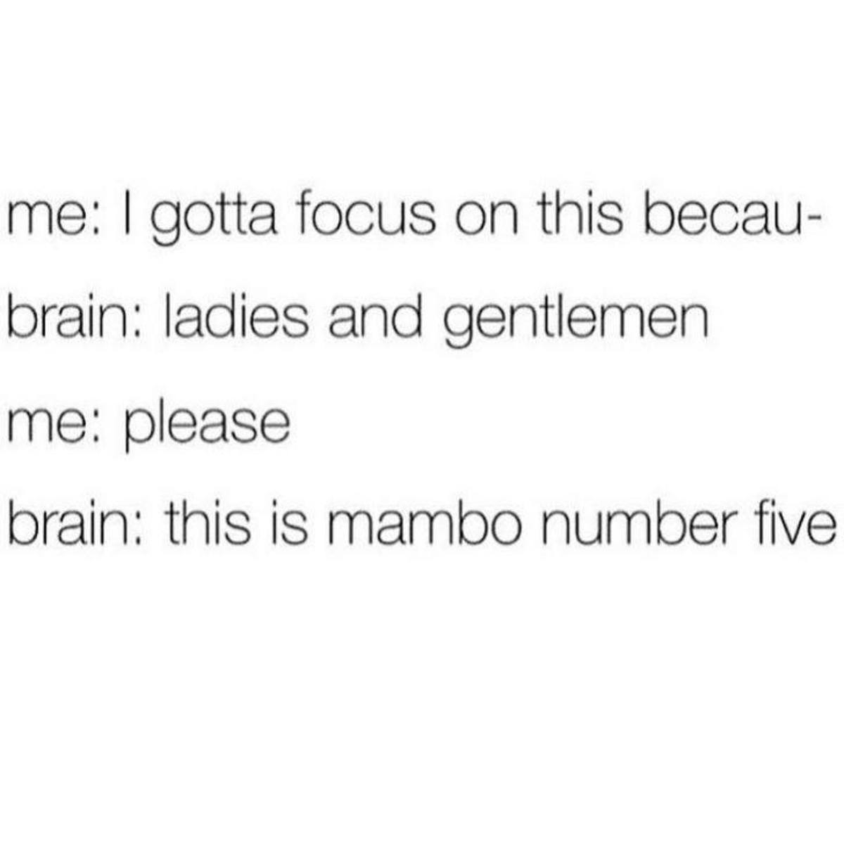 memes - you can t concentrate - me I gotta focus on this becau brain ladies and gentlemen me please brain this is mambo number five