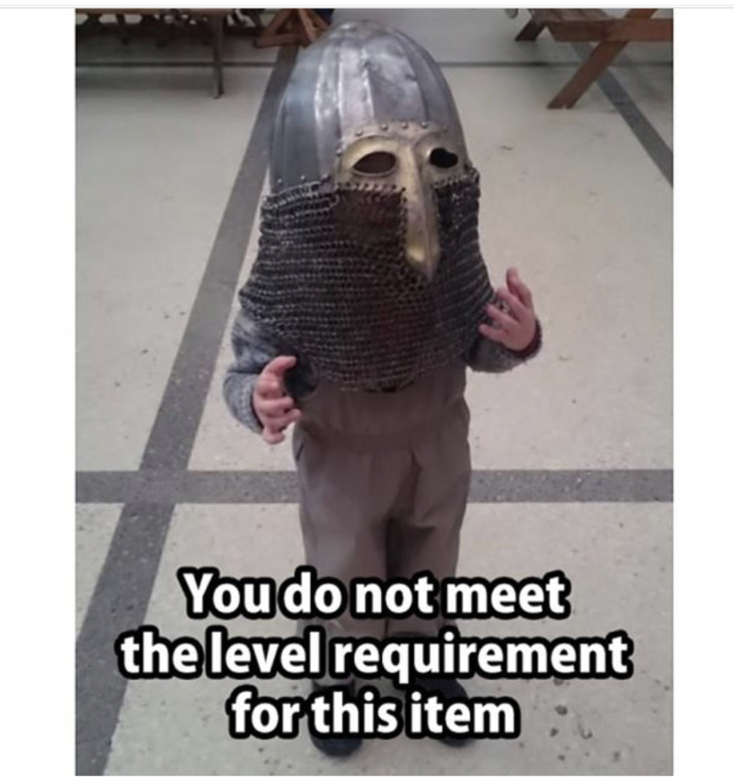 memes - you do not meet the level requirements - You do not meet the level requirement for this item