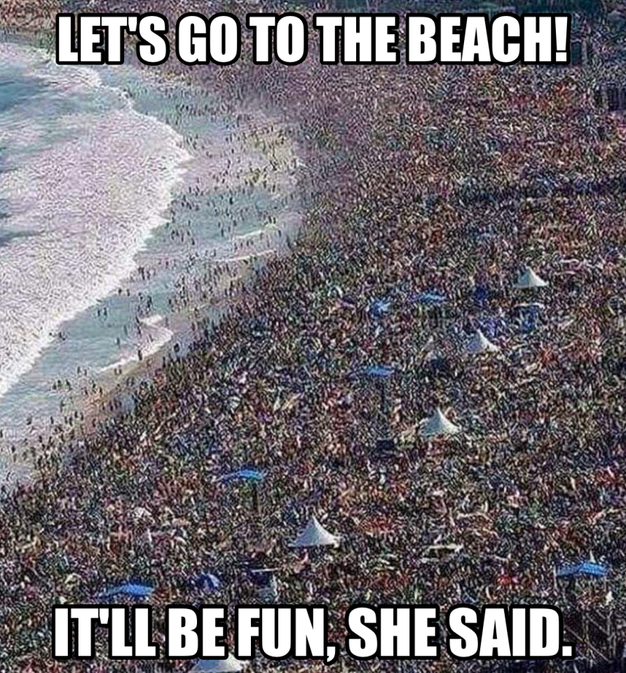 memes - Let'S Go To The Beach! It'Ll Be Fun, She Said.