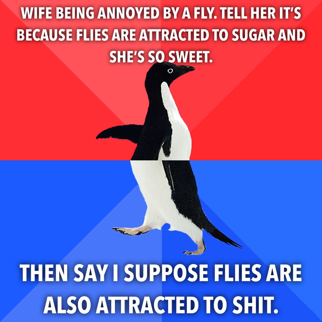 memes - dissociative identity disorder meme - Wife Being Annoyed By A Fly. Tell Her It'S Because Flies Are Attracted To Sugar And She'S So Sweet. Then Say I Suppose Flies Are Also Attracted To Shit.