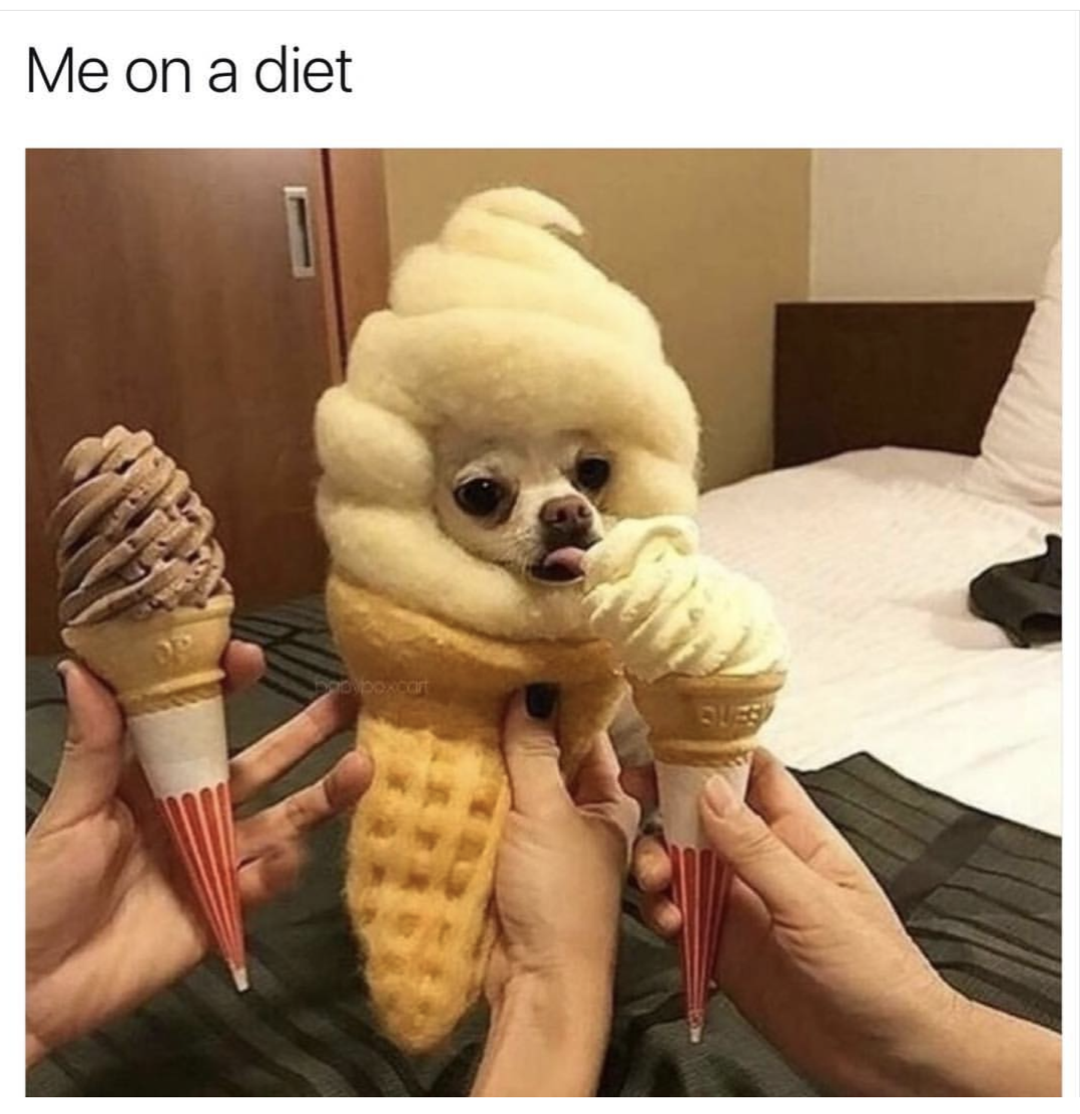 memes - chihuahua meme - Me on a diet