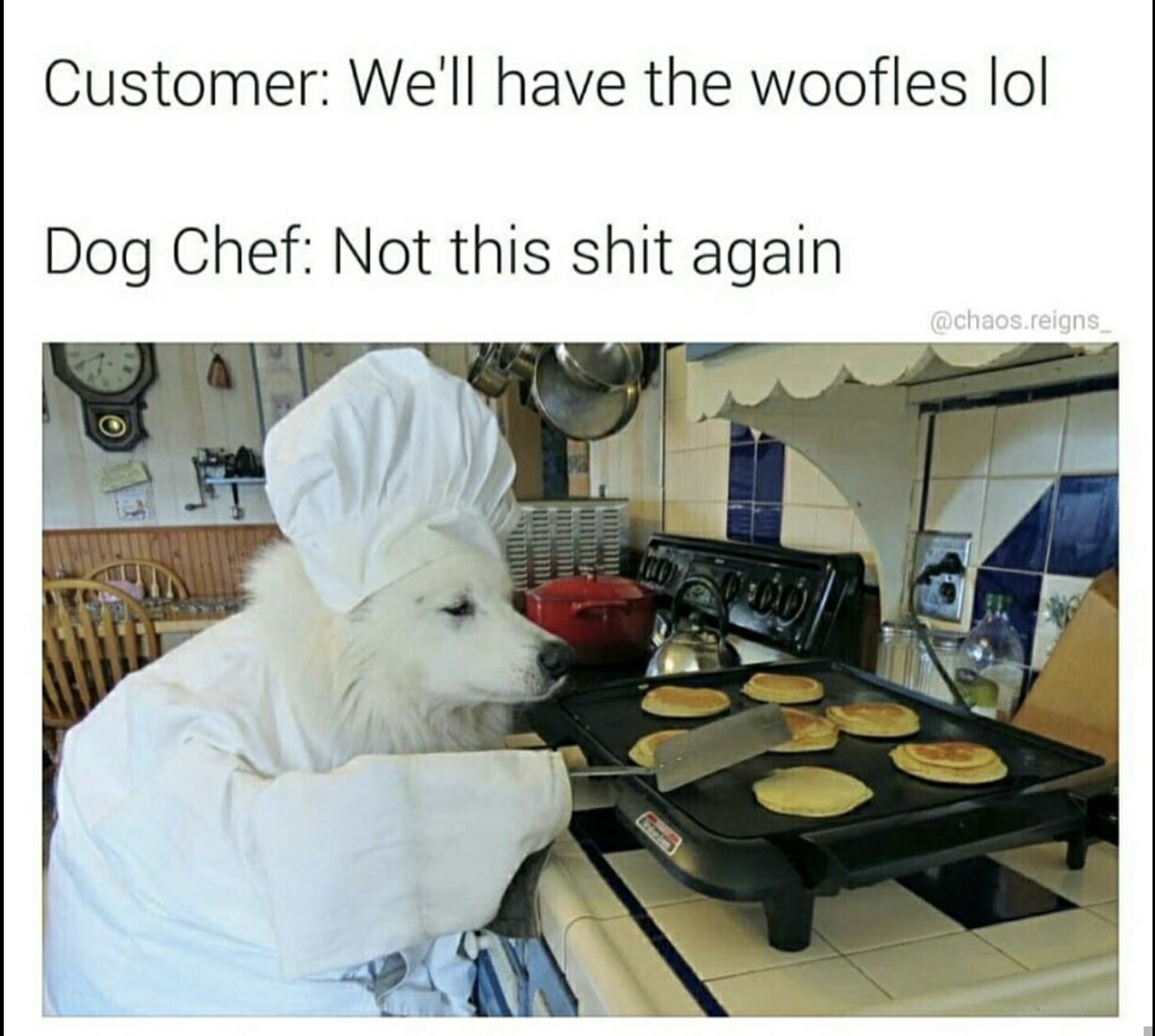 Funny dog chef taking jokes about making woofles