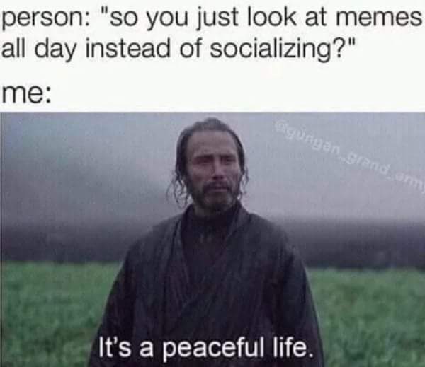 funny picture of a so you just look at memes all day instead of socializing - person "so you just look at memes all day instead of socializing?" me ayunyan grand on It's a peaceful life.