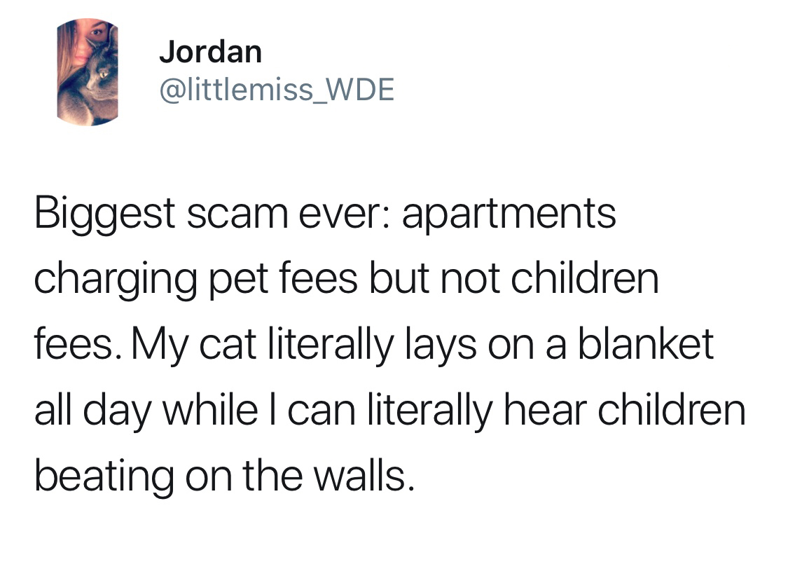 funny picture of a photography - Jordan Biggest scam ever apartments charging pet fees but not children fees. My cat literally lays on a blanket all day while I can literally hear children beating on the walls.