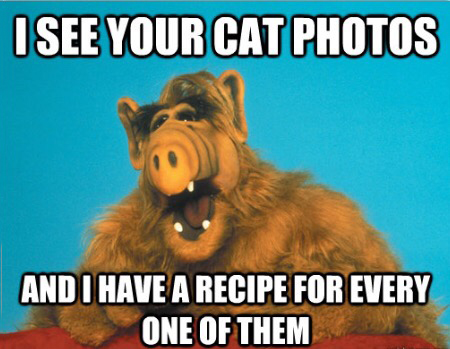 funny picture of a alf memes - I See Your Cat Photos And I Have A Recipe For Every One Of Them