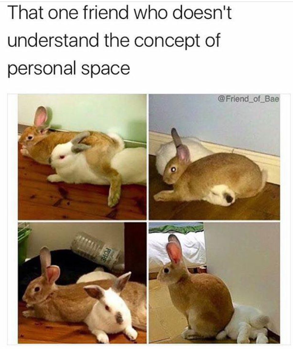 funny picture of a one friend that doesn t understand personal space - That one friend who doesn't understand the concept of personal space
