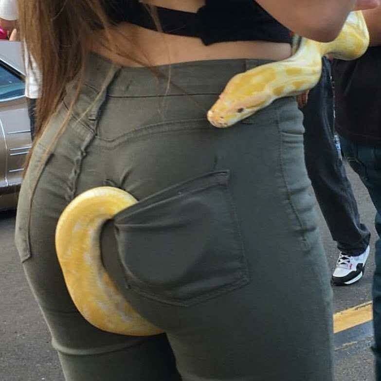 girl with albino snake in her back pocket and wrapped around a torso