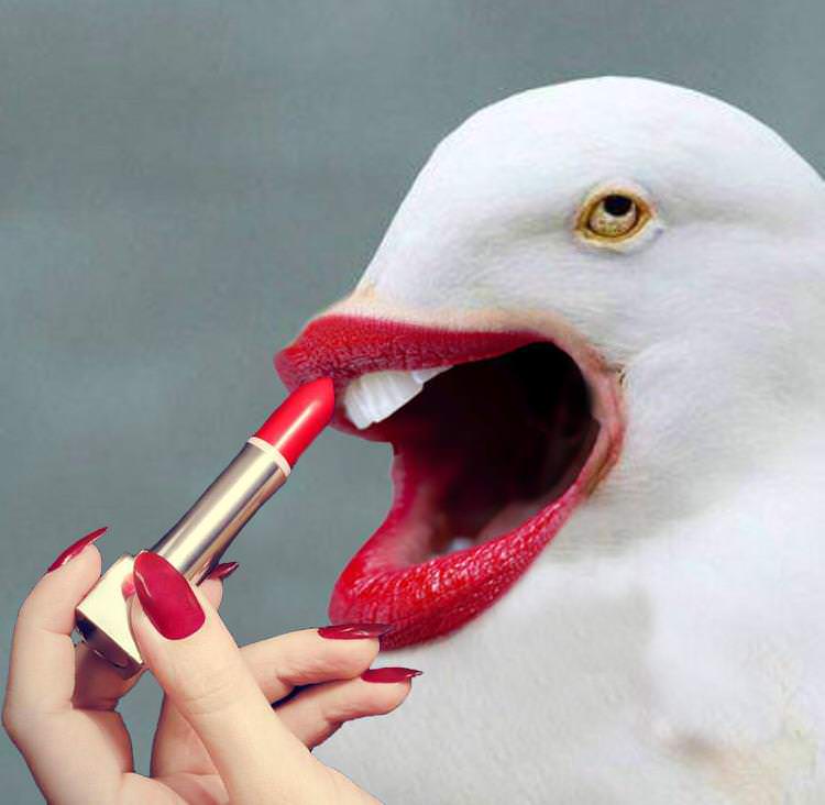 Goose with lipstick