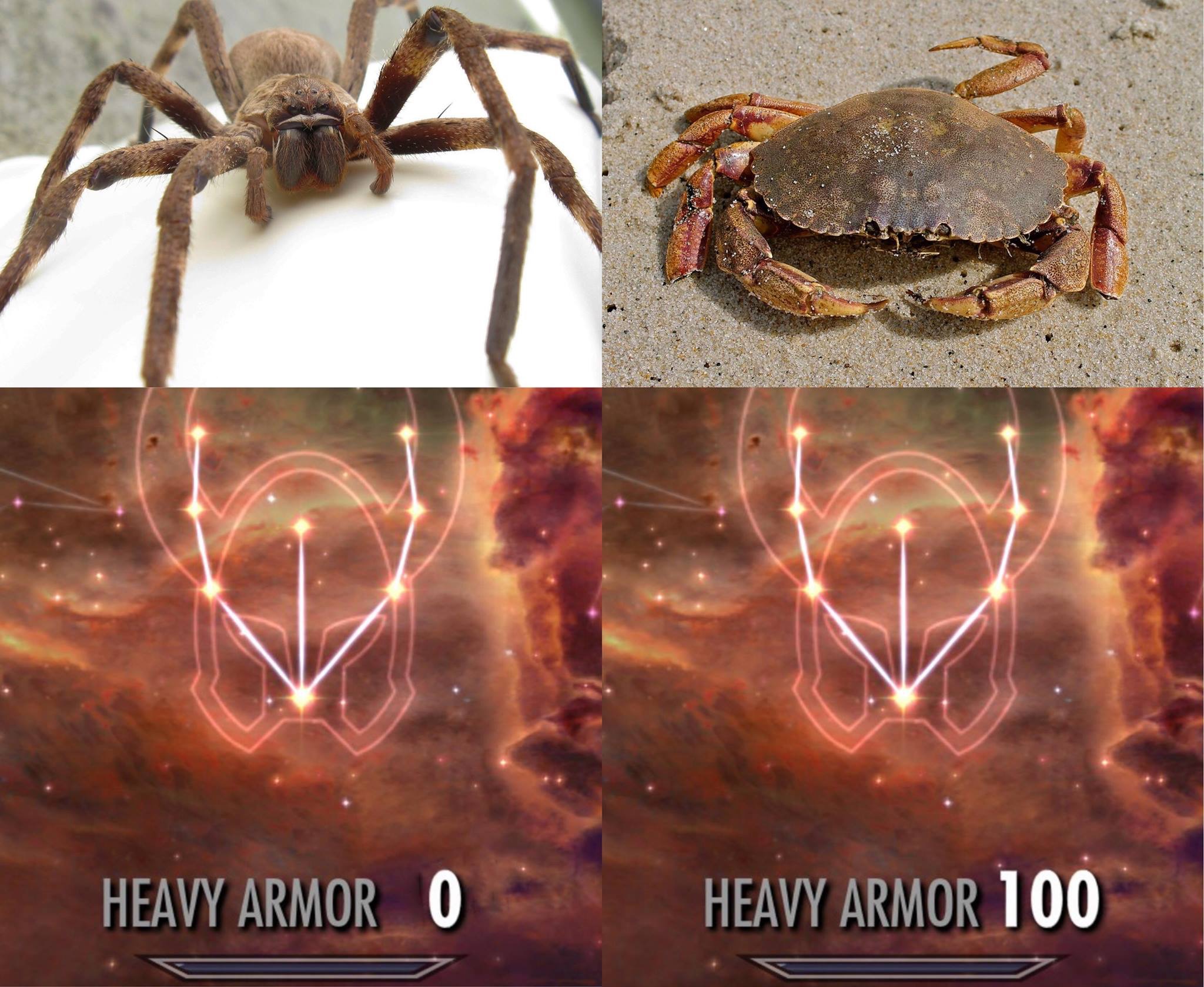 Crabs with varying armour