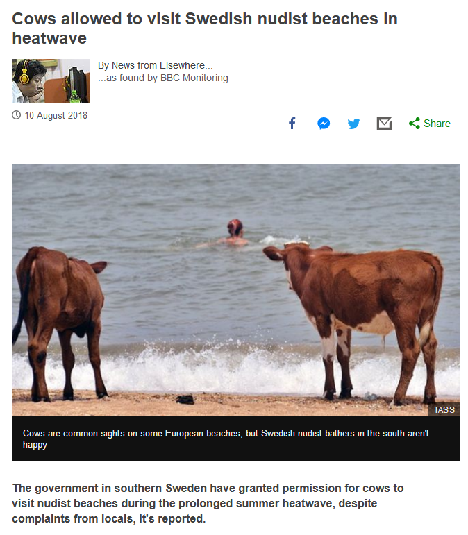 memes - Cows allowed to visit Swedish nudist beaches in heatwave By News from Elsewhere as found by Bbc Monitoring Cows are common sights on some European beaches, but Swedish nudist bathers in the south aren't happy The government in southern Sweden have