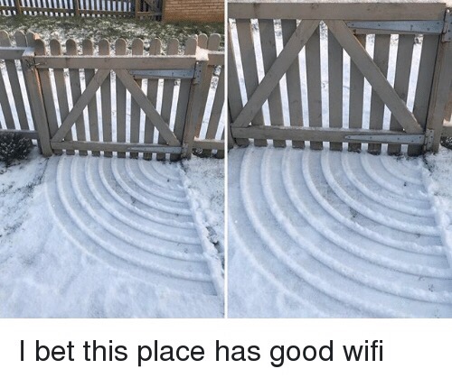 memes - snow satisfying - I bet this place has good wifi