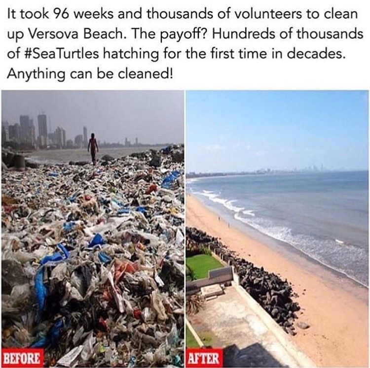 memes - mumbai beach clean up before and after - It took 96 weeks and thousands of volunteers to clean up Versova Beach. The payoff? Hundreds of thousands of Turtles hatching for the first time in decades. Anything can be cleaned! Before After