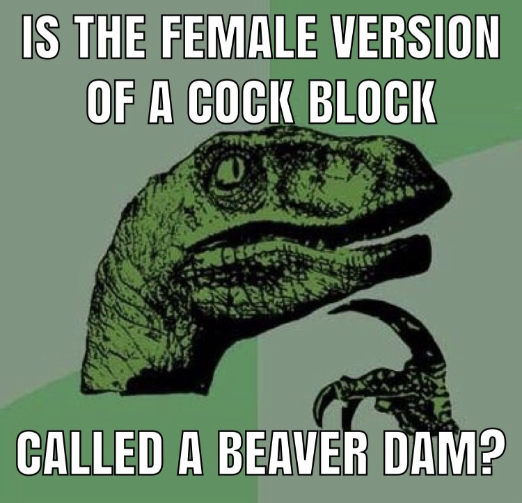 memes - first order memes - Is The Female Version Of A Cock Block Called A Beaver Dam?