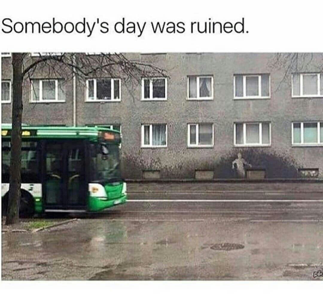 somebody's day was ruined - Somebody's day was ruined. Ili Ili Isu U U U .