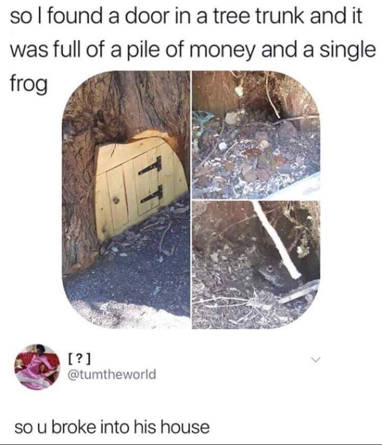 frog house meme - so I found a door in a tree trunk and it was full of a pile of money and a single frog ? so u broke into his house