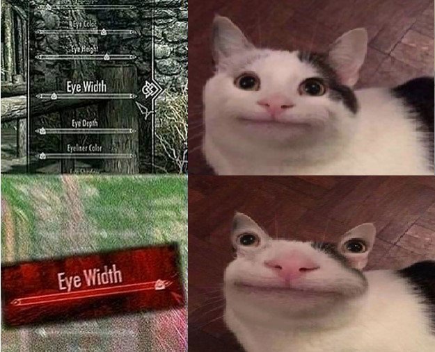 eye width meme cat - Eye Width Eye Depth Eyelier Color Eye Width